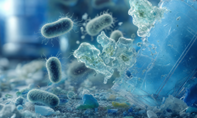 Detalle microscópico conceptual de bacterias y enzimas actuando sobre fragmentos de plástico