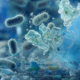Detalle microscópico conceptual de bacterias y enzimas actuando sobre fragmentos de plástico