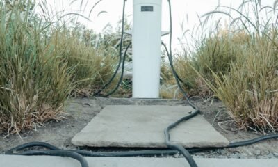 Infraestructura de carga para vehículos eléctricos en un entorno verde.